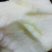 宝山明月（青森）苹果纯甜无渣（糖度高达18）