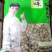 卤味花生
