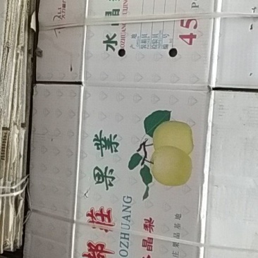 收售二手冷藏纸箱，60#，80#.96#/45#