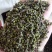 江西中花吴茱萸扦插苗，当年挂果苗，也叫茶辣子