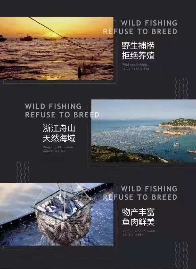烤鱼片