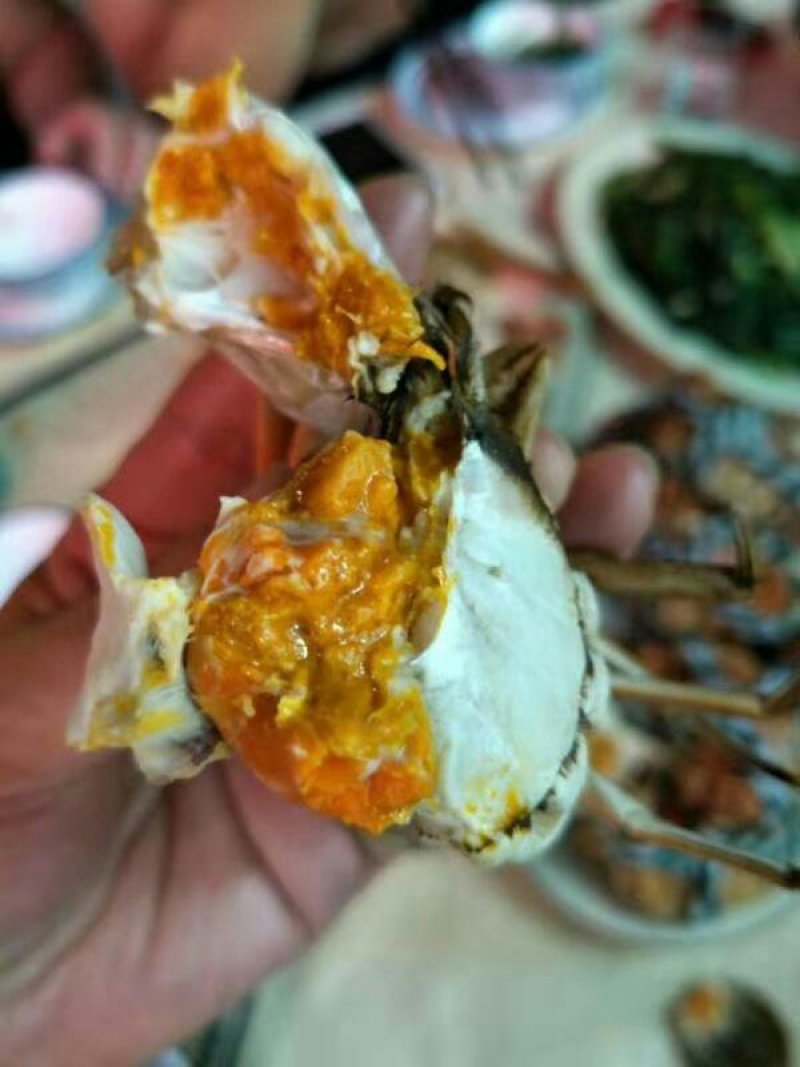 兴化红膏大闸蟹1.68母