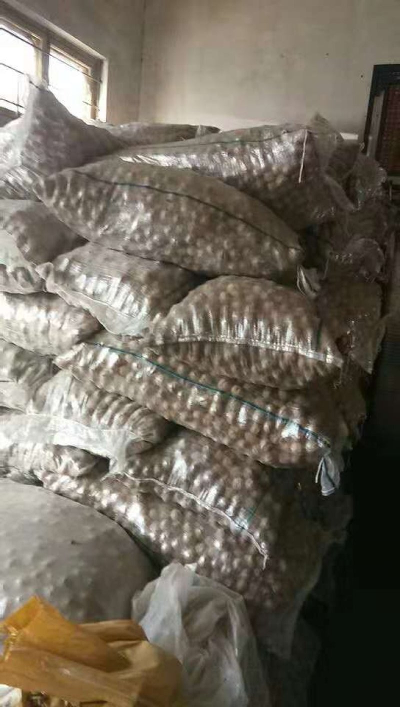 花椒，核桃，柿饼批发，诚信第一，友谊第一，质量第一，欢迎