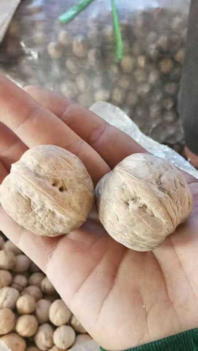 花椒，核桃，柿饼批发，诚信第一，友谊第一，质量第一，欢迎