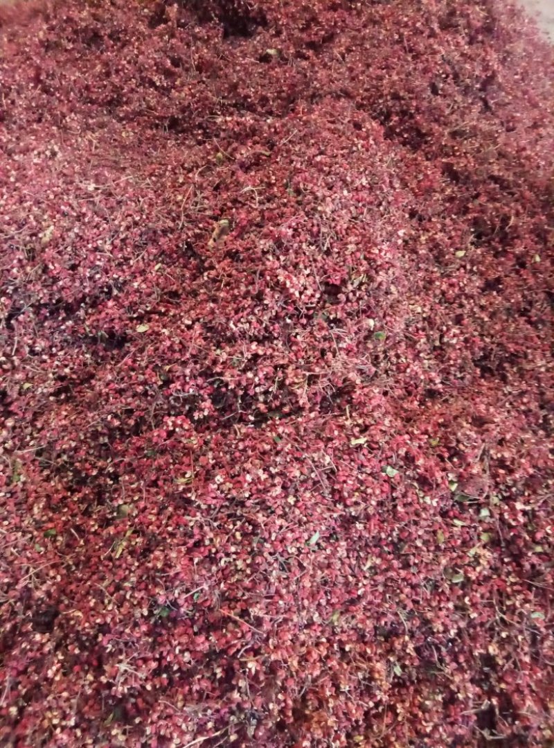 花椒，核桃，柿饼批发，诚信第一，友谊第一，质量第一，欢迎