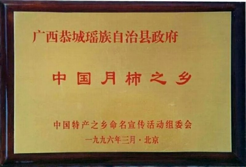 恭城柿饼