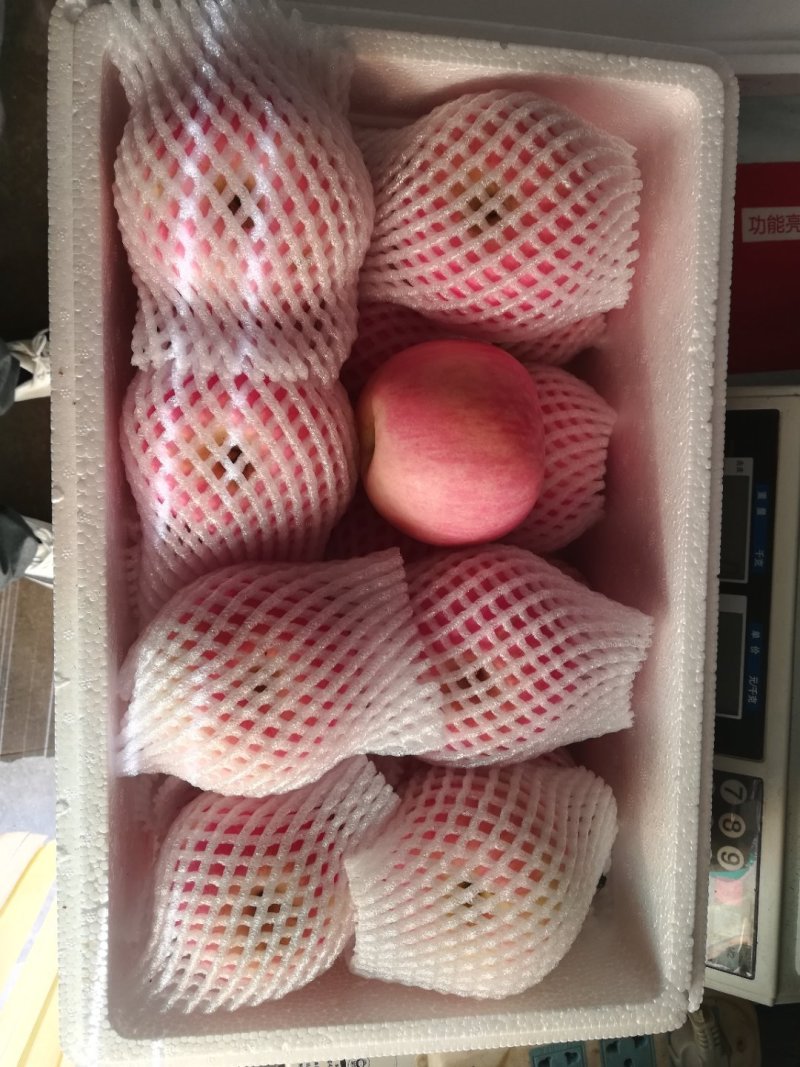 烟台红富士苹果5斤一箱