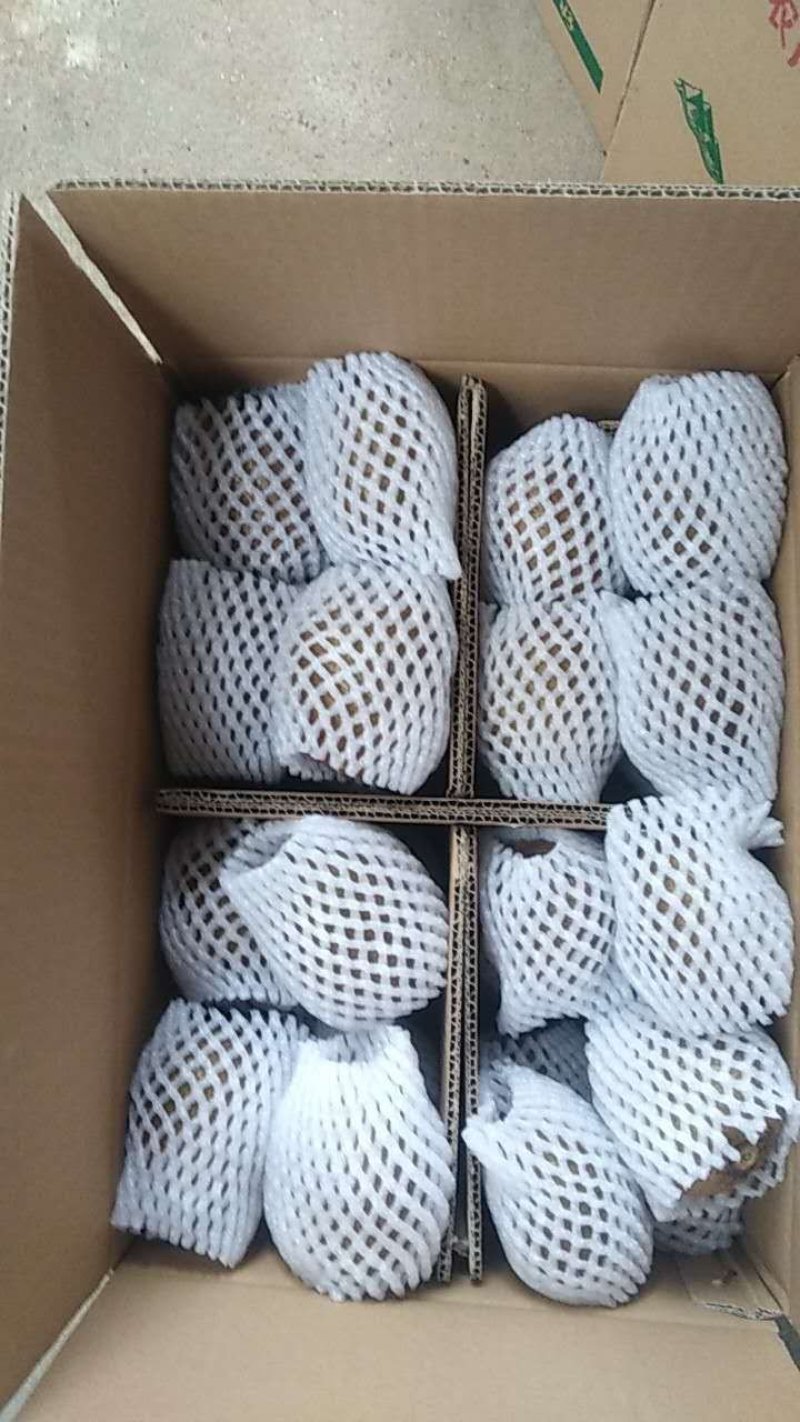 徐香猕猴桃一件代发招天猫拼多多微商合作一件代发包邮