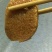 好食材，香糯甜，黄粑
