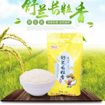 大米.稻花香.东北大米