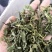 丁香茶55元一斤