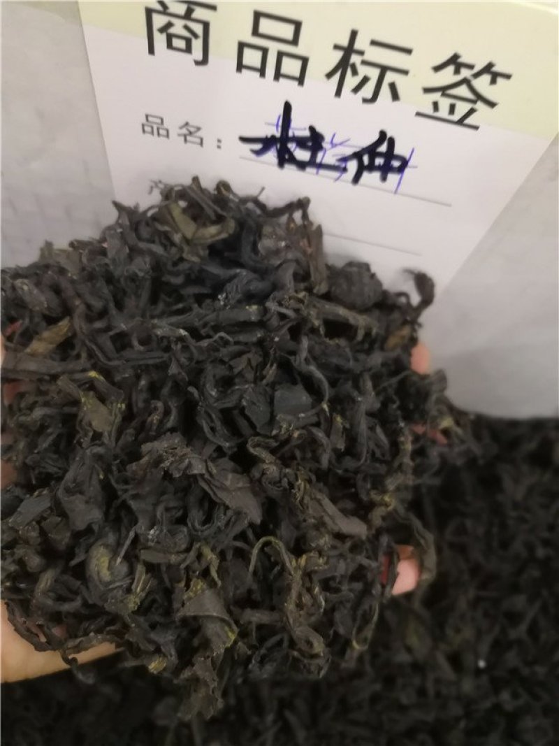 杜仲茶