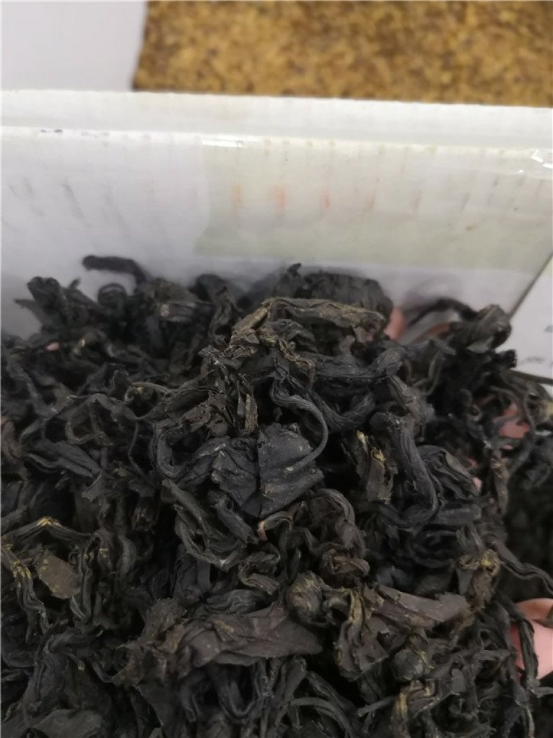 杜仲茶