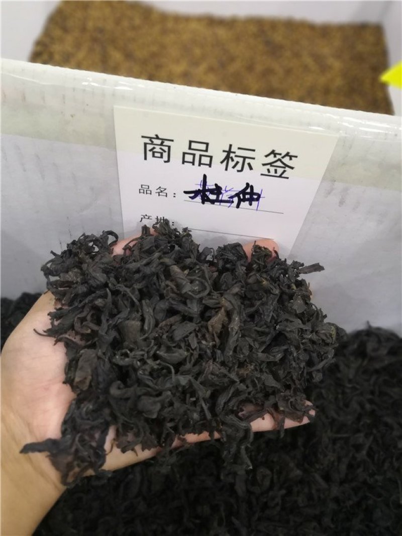 杜仲茶