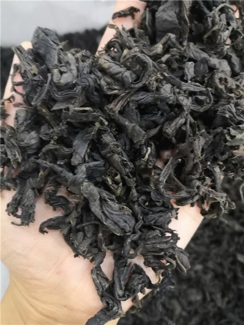 杜仲茶