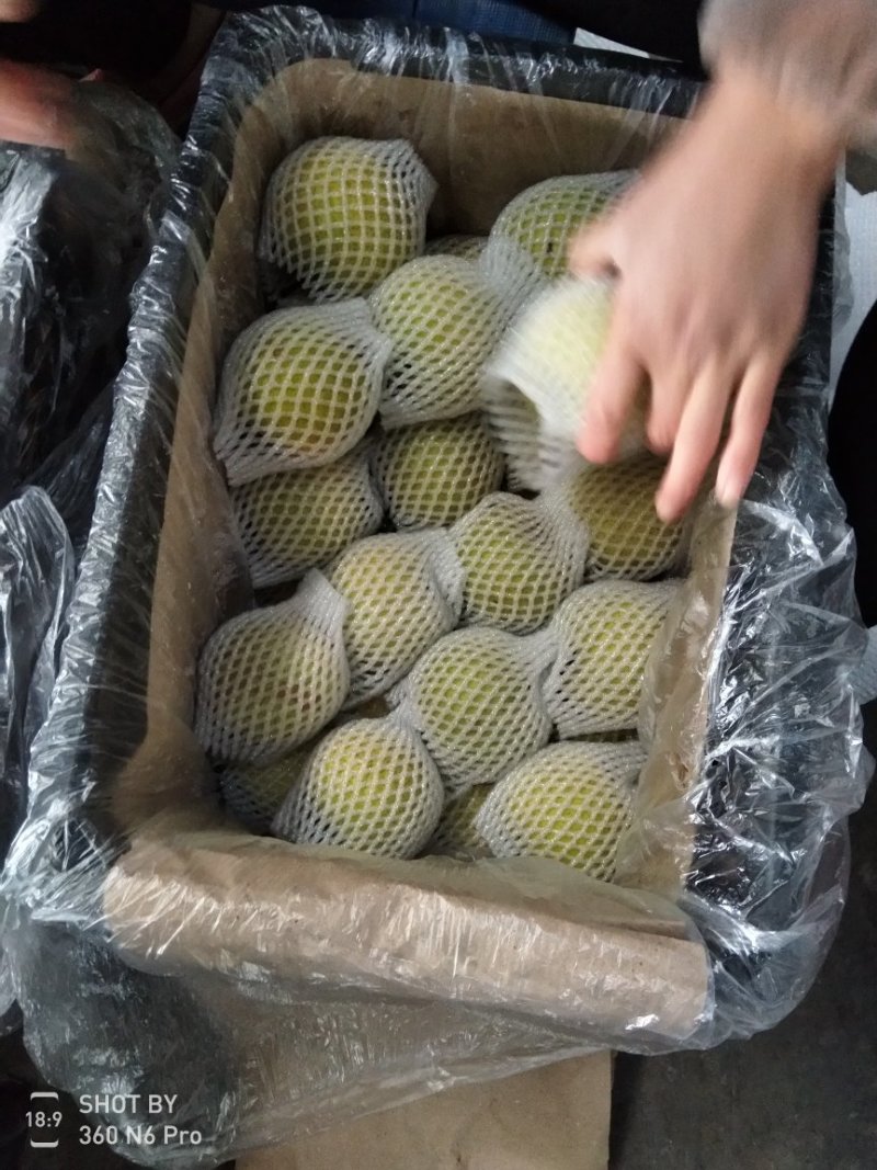 黄冠梨