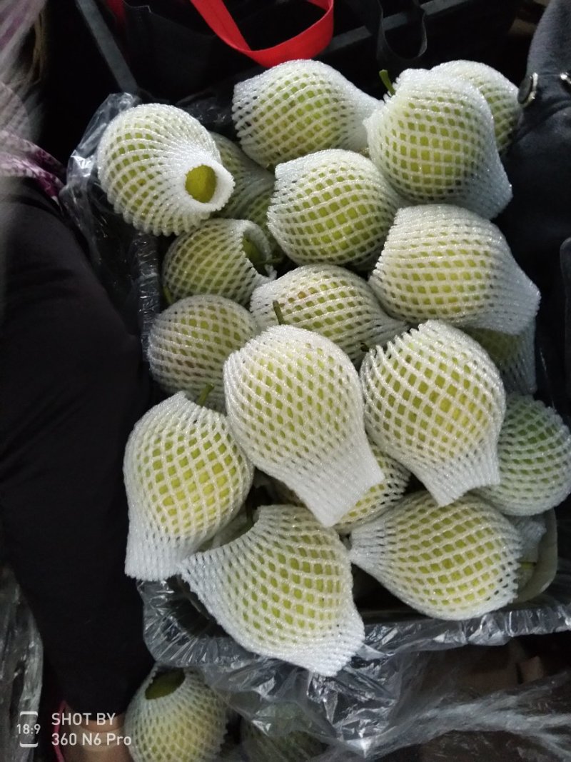 黄冠梨