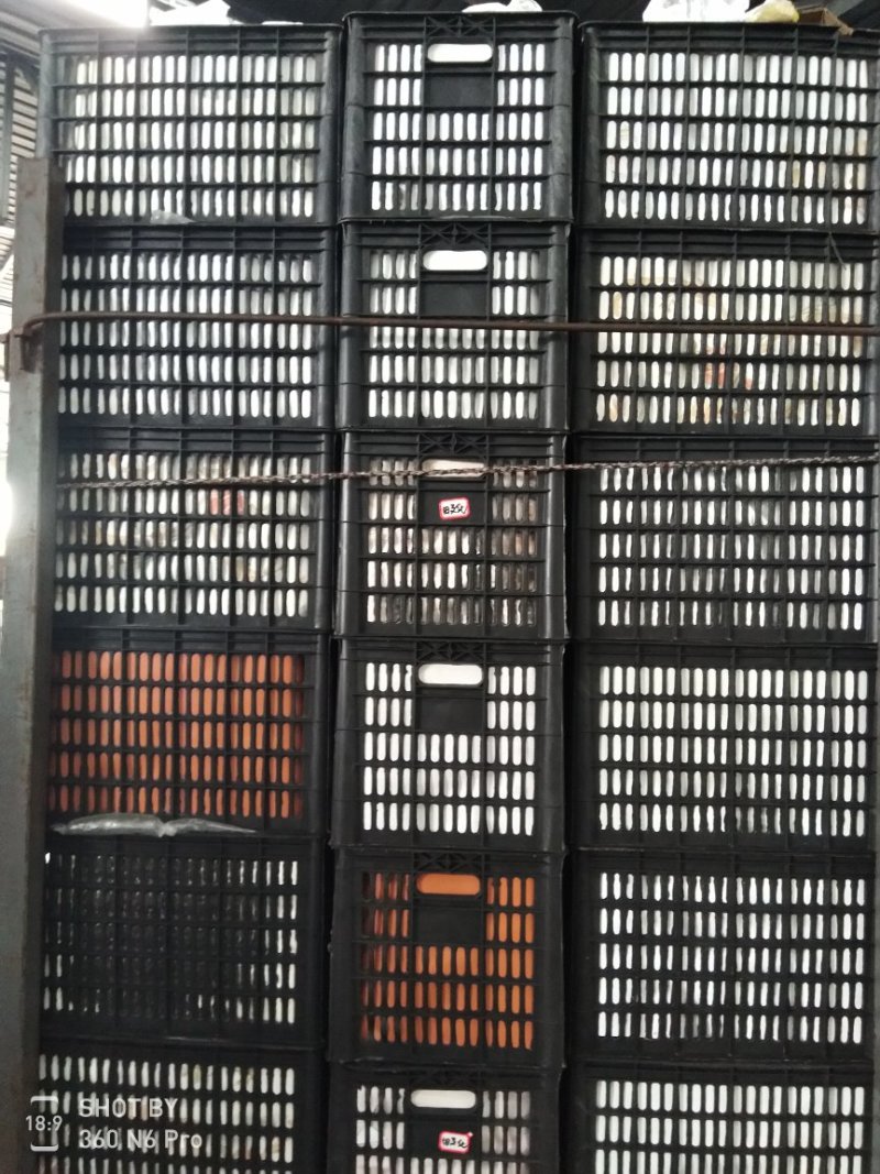 黄冠梨