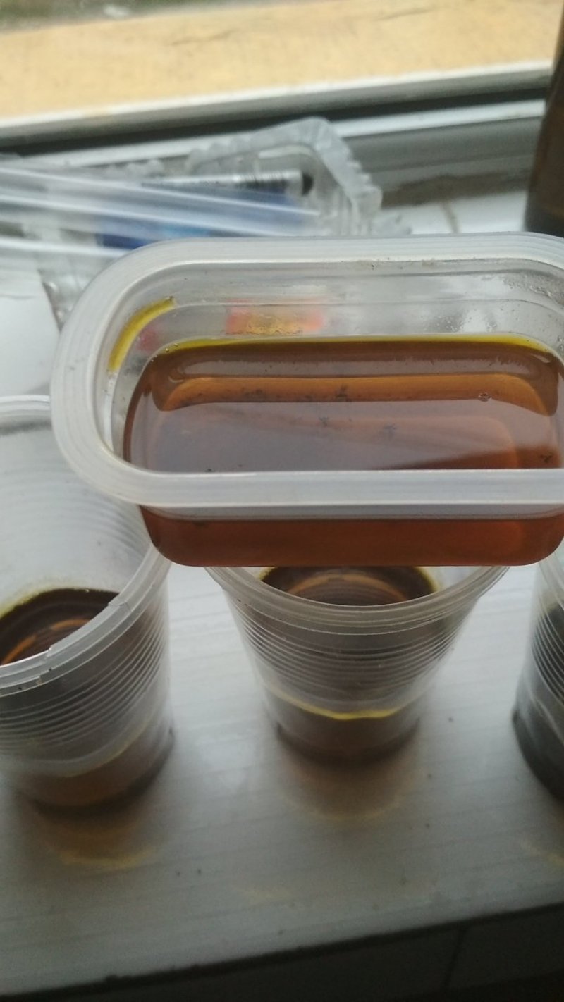 油菜籽