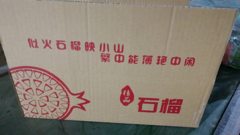 临潼贵妃石榴