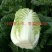 黄心白菜