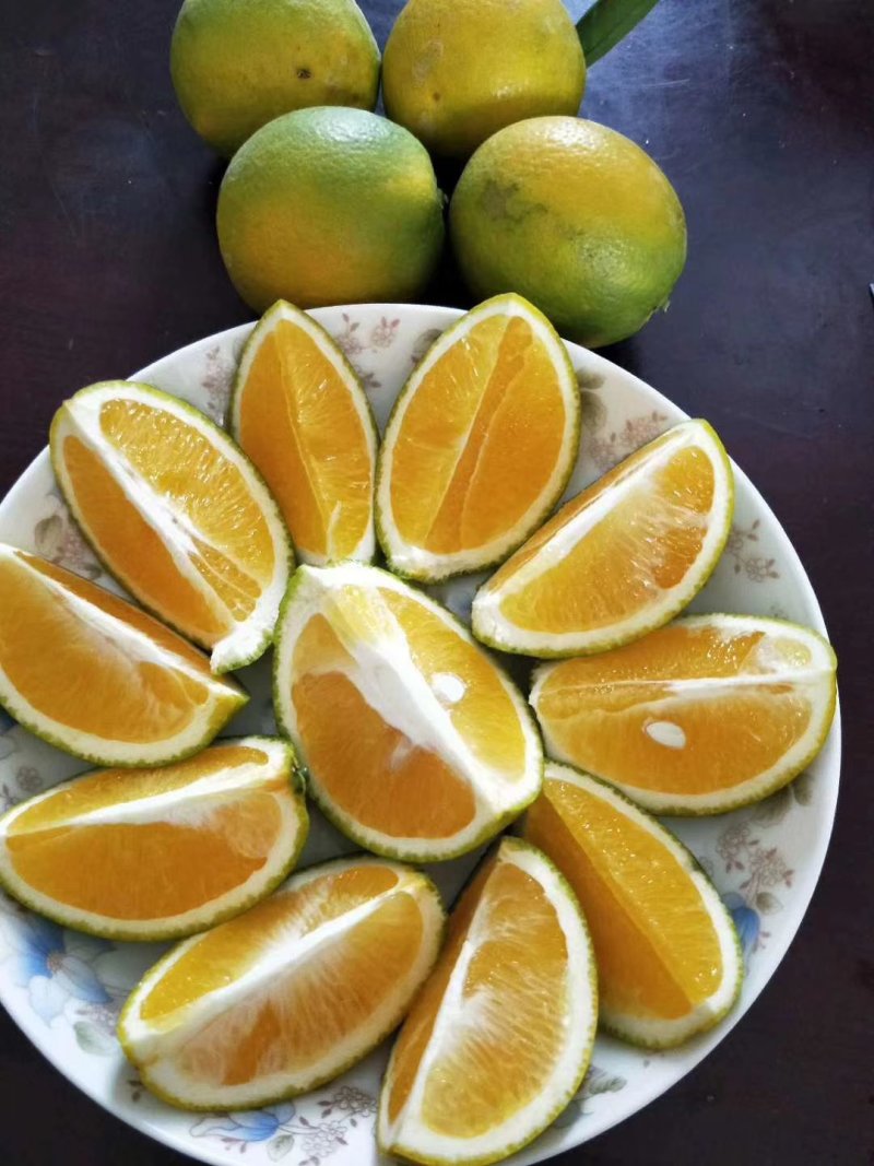 冰糖橙
