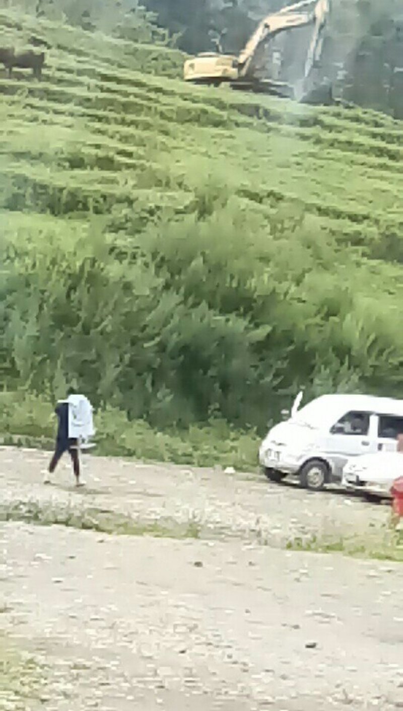提供土地200亩左右，交通方便可作经济林种植，散养畜禽，