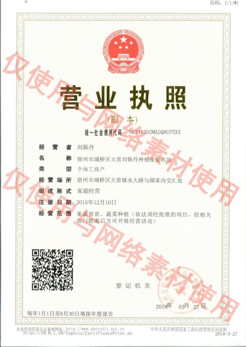 嫁接甜瓜苗，羊角苏甜瓜苗，绿宝石甜瓜苗