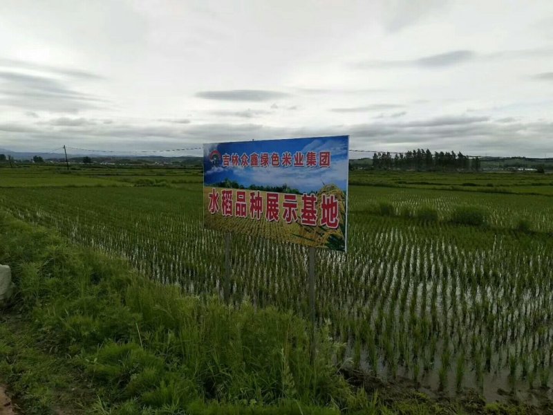 吉林众鑫绿色米业集团平岗牌绿色大米