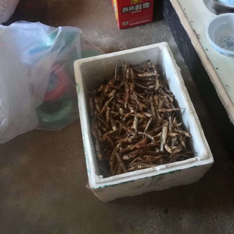 野生谈水蓝刀鱼干。
