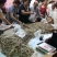 精品日晒北海小鱼干，海鱼，微盐，整吨价格美丽