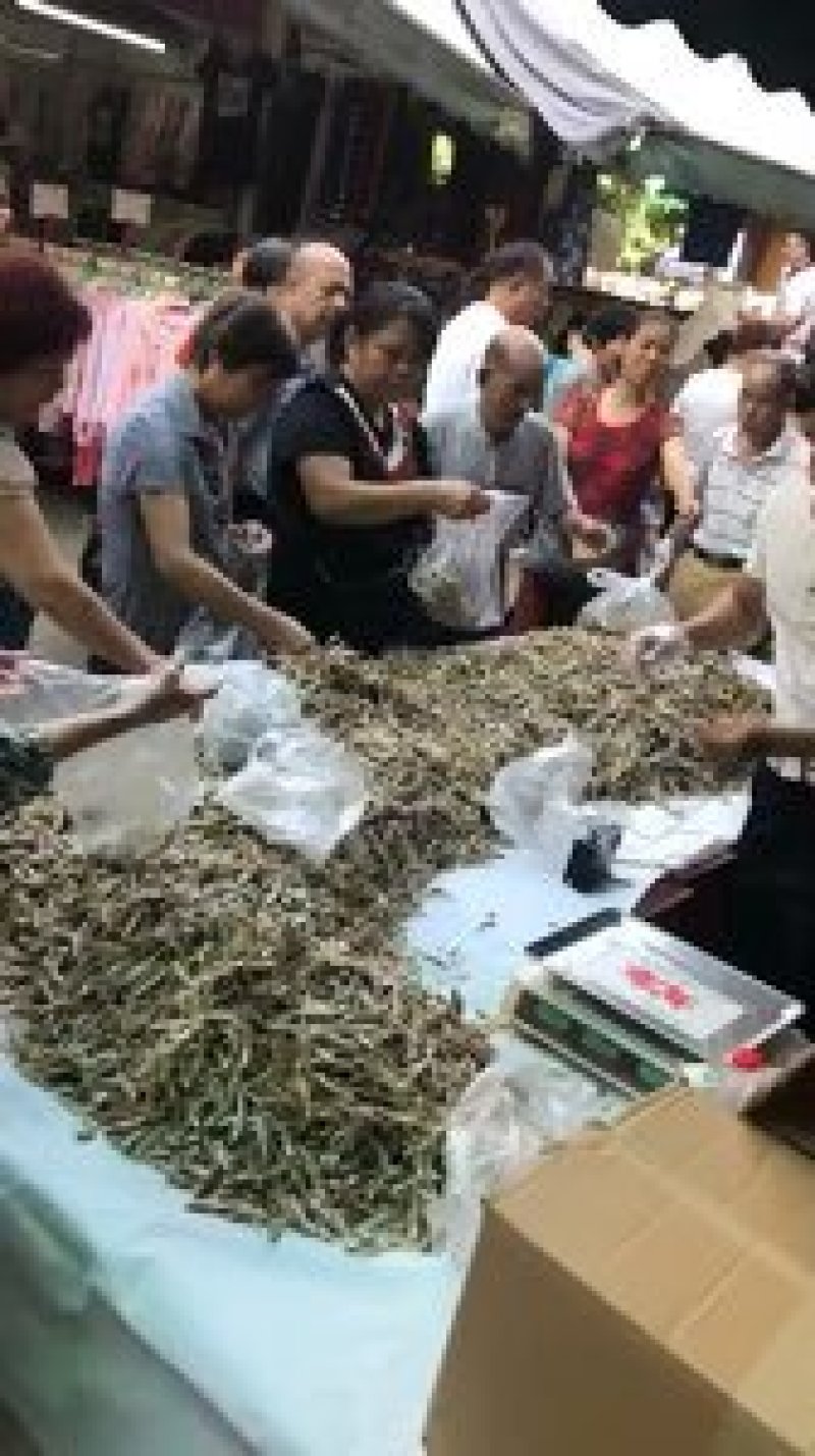 精品日晒北海小鱼干，海鱼，微盐，整吨价格美丽