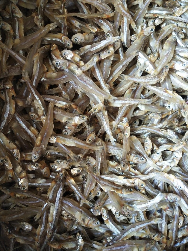 精品日晒北海小鱼干，海鱼，微盐，整吨价格美丽
