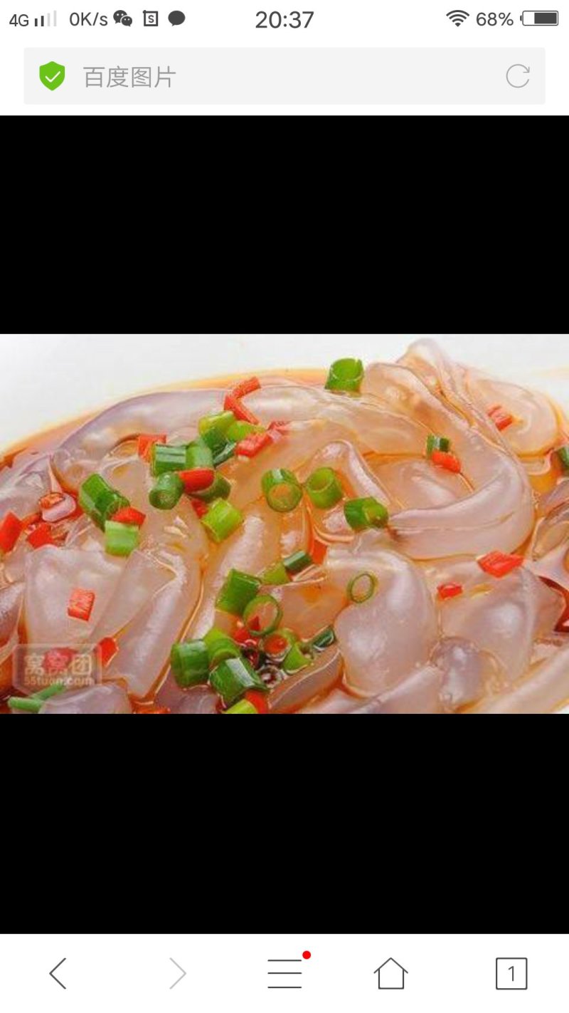 绿豆粉皮