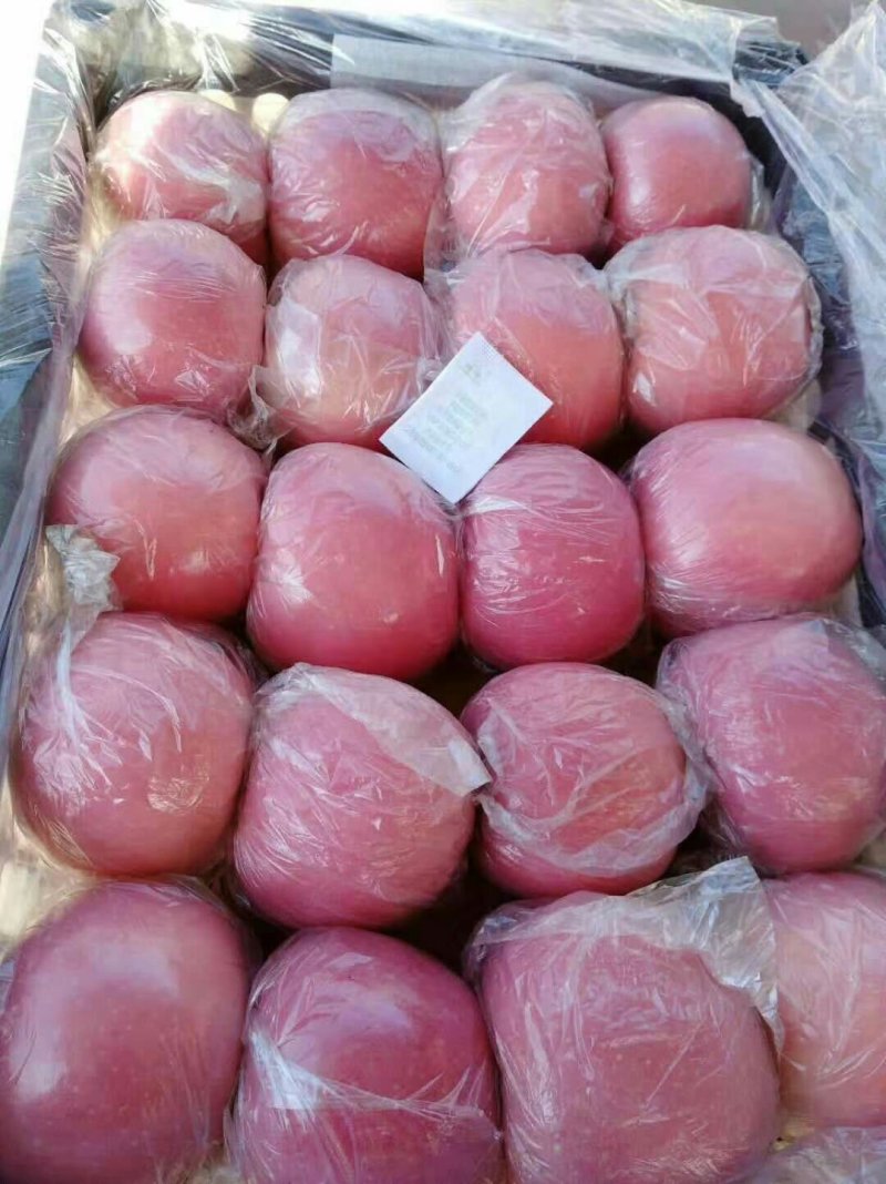 纸加膜富士上市啦，