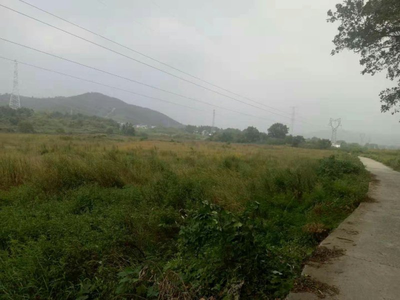 荒田