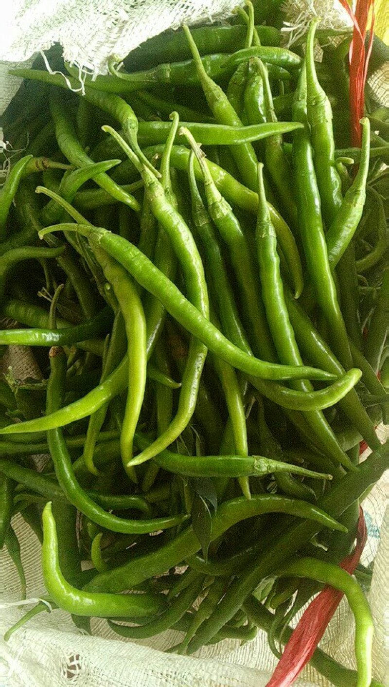 鲜辣椒