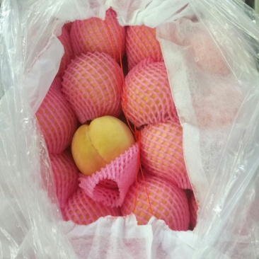 黄桃，四两起步，颜色漂亮