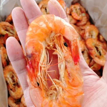 烤虾精品烤虾