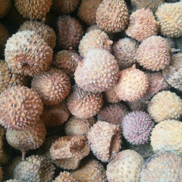 高州特级荔枝干2021年新货桂味荔枝干产地直发
