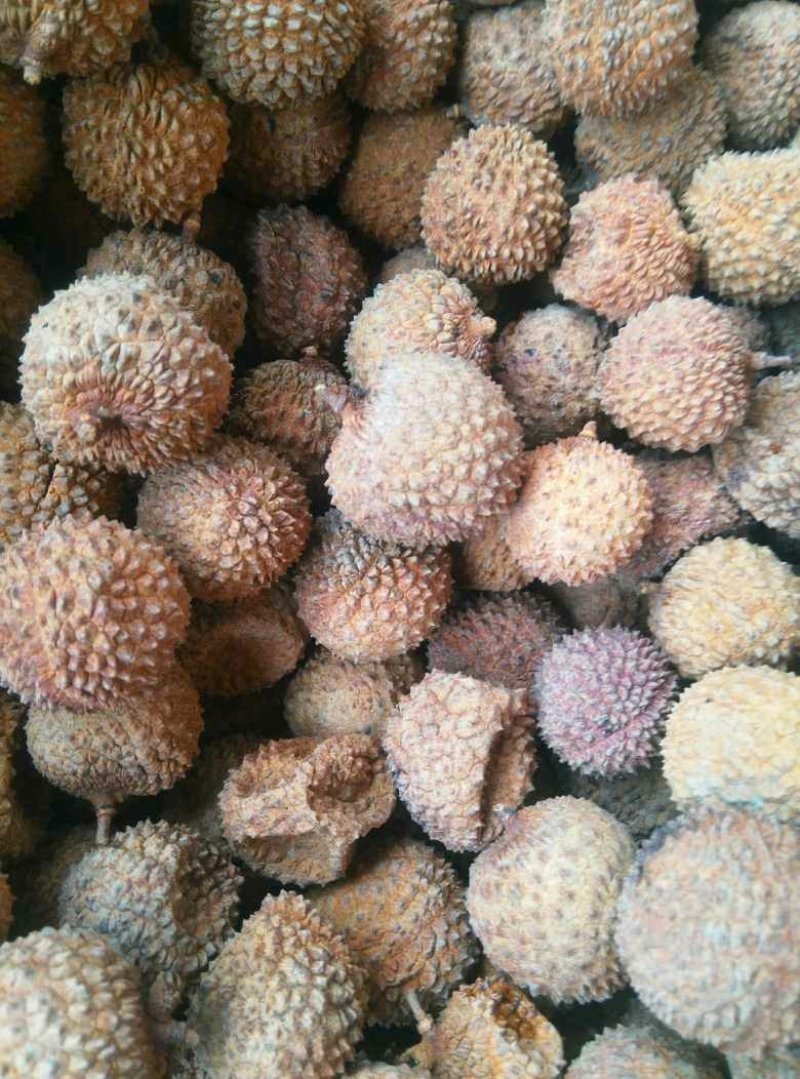 高州特级荔枝干2021年新货桂味荔枝干产地直发