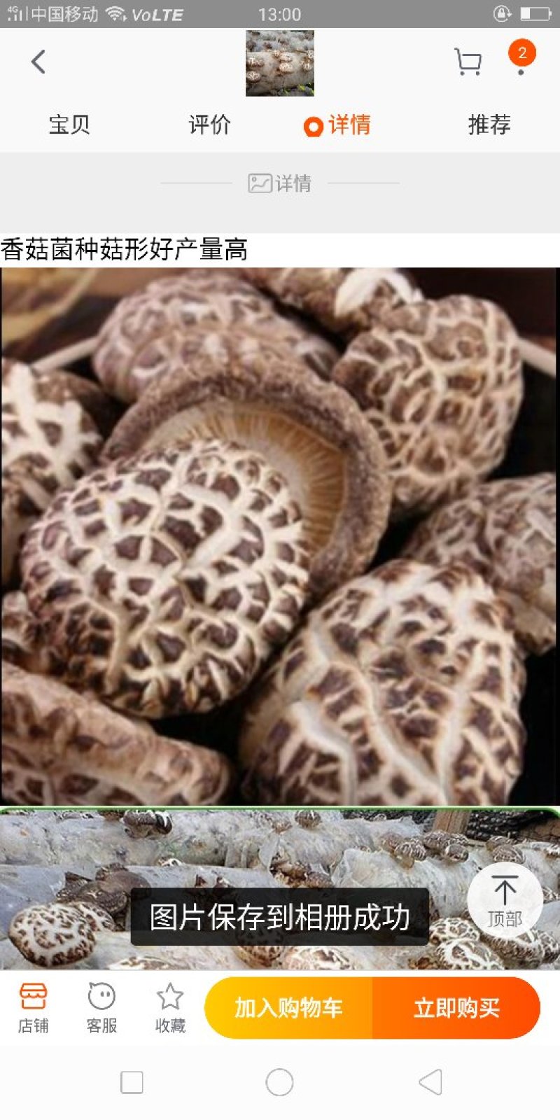 香菇菌种精选品种产量高
