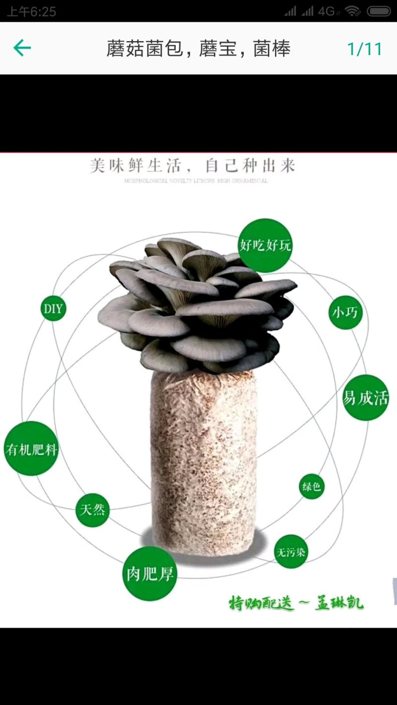 菌包香菇平菇猴头菇灵芝菌棒菌袋栽培袋批发
