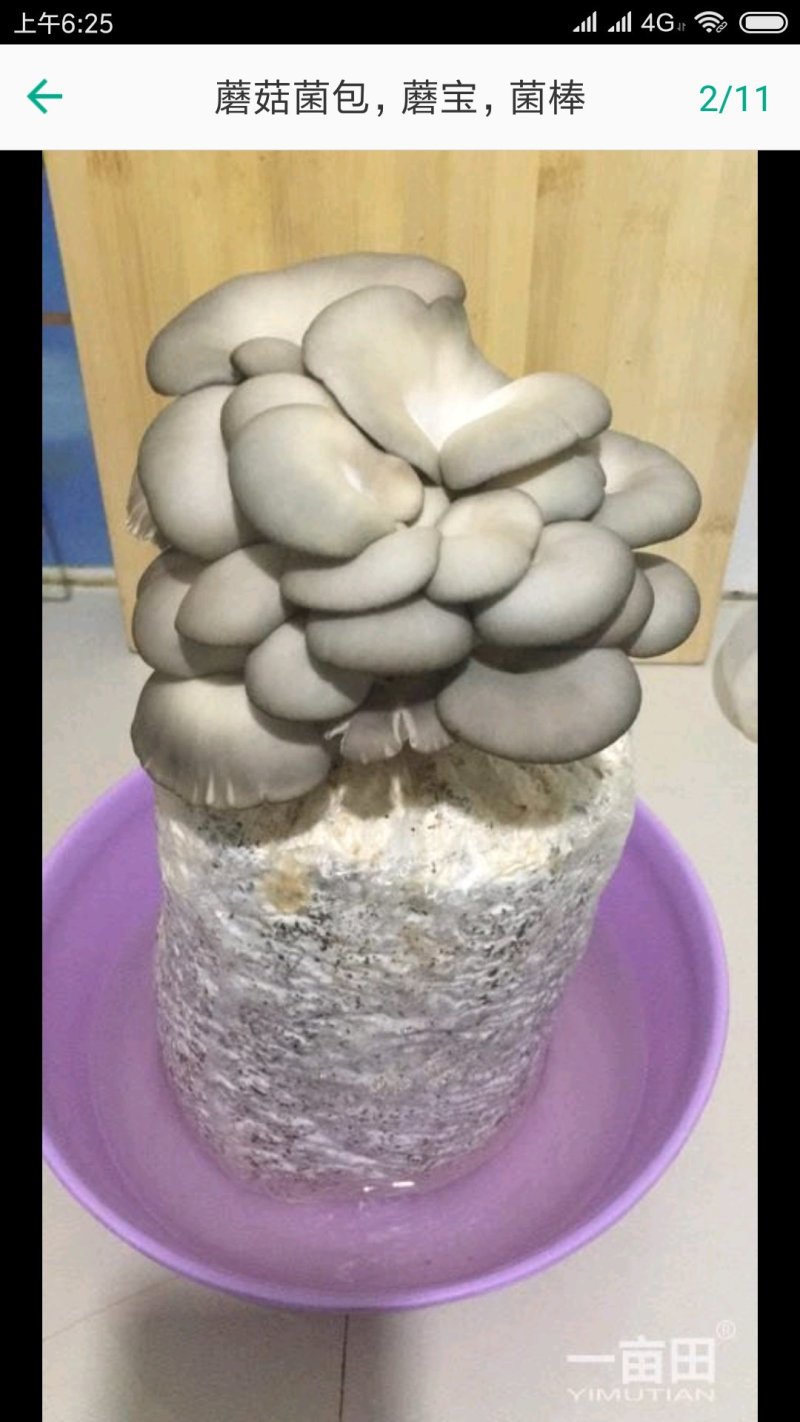 菌包香菇平菇猴头菇灵芝菌棒菌袋栽培袋批发