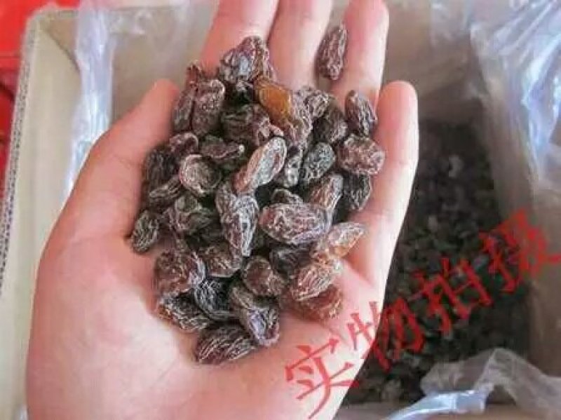 新疆特产奶油葡萄干大颗粒无核免洗红提子干散装批发