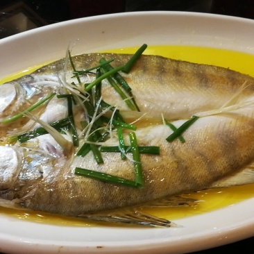 拉菲黄鱼