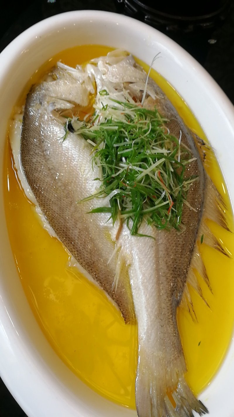 拉菲黄鱼