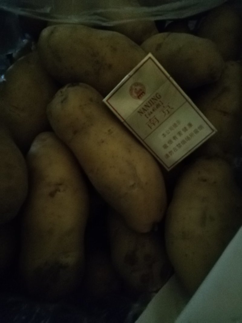 荷兰十五三两通天