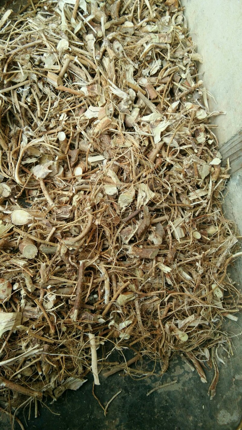 五指毛桃/五指毛桃干货/批发五指毛桃/大量从优