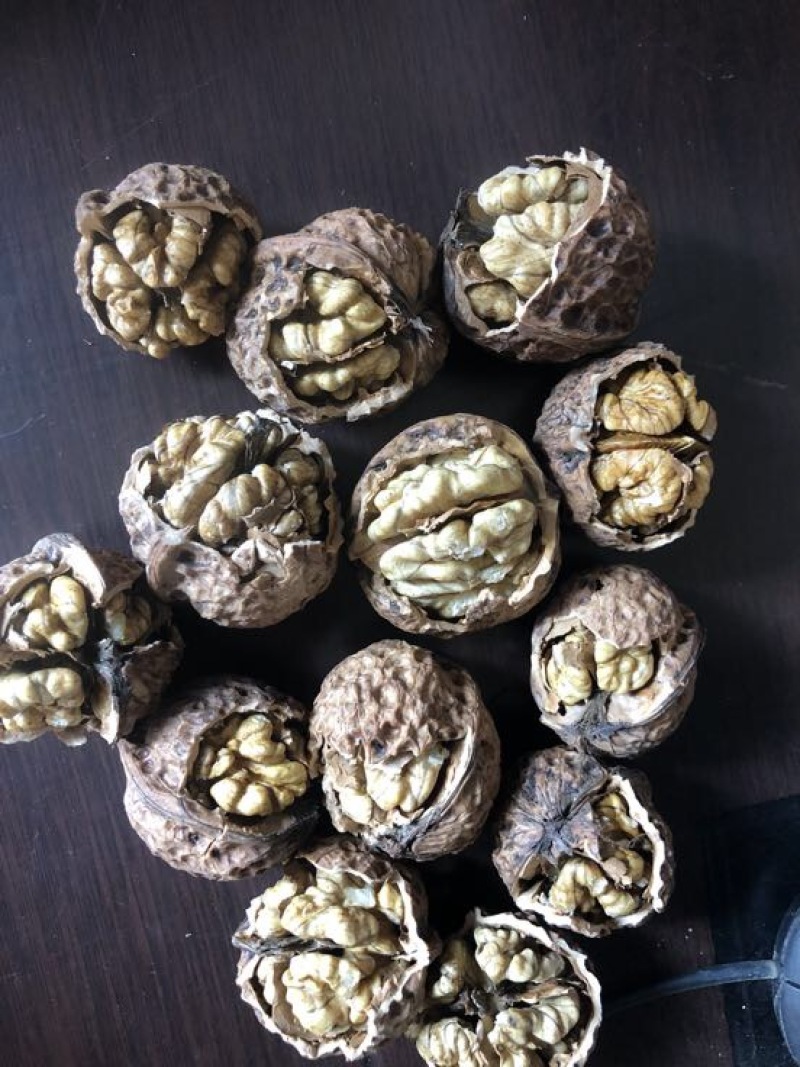 桐子果去皮30~35mm干
